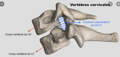 Capture d’écran 2021-03-28 à 15.03.13.png