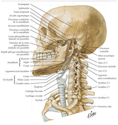 Capture d’écran 2021-03-28 à 15.11.05.png