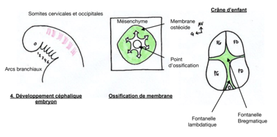 Capture d’écran 2021-03-28 à 15.34.01.png