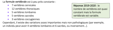 Capture d’écran 2021-03-28 à 20.36.42.png