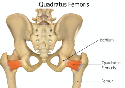 Capture d’écran 2021-03-28 à 20.47.09.png