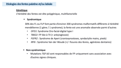 Capture d’écran 2021-03-28 à 22.23.37.png