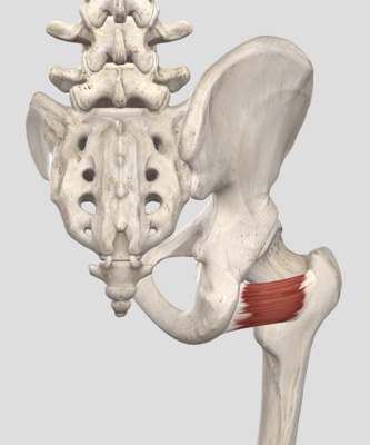 Capture d’écran 2021-03-29 à 09.46.27.png