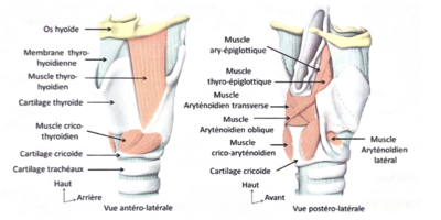 Capture d’écran 2021-03-30 à 12.34.26.png