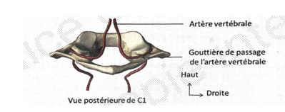Capture d’écran 2021-03-31 à 10.20.33.png