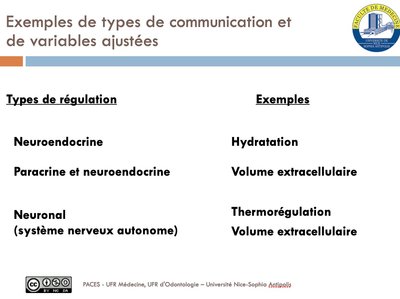 Exemples de types de communication et.jpg