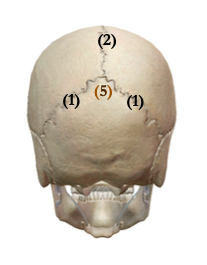 Capture d’écran 2021-03-31 à 23.46.23.png