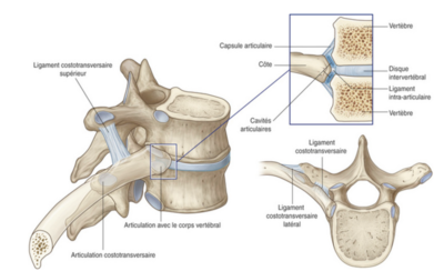 Capture d’écran 2021-04-01 à 10.45.19.png