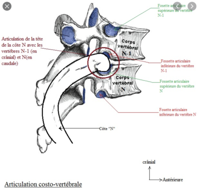 Capture d’écran 2021-04-01 à 10.47.18.png
