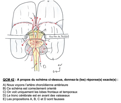 Capture d’écran 2021-04-01 à 15.12.36.png