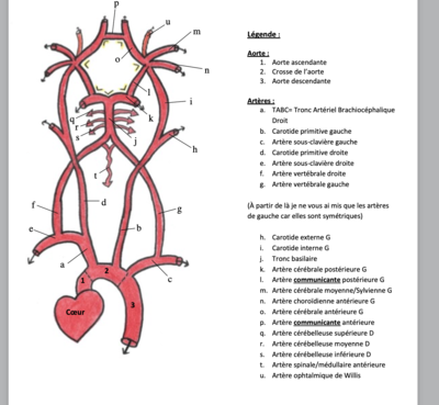 Capture d’écran 2021-04-03 à 11.22.37.png