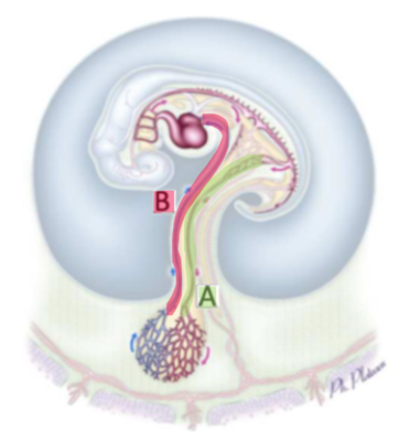 Capture d’écran 2021-04-03 à 14.31.50.png