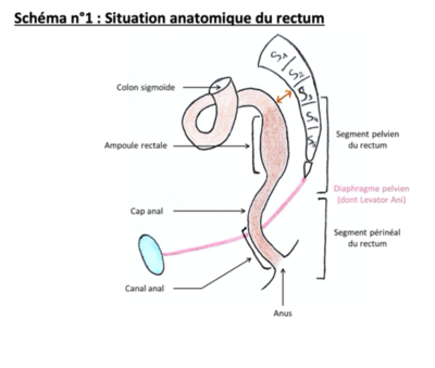 Capture d’écran 2021-04-03 à 15.38.04.png