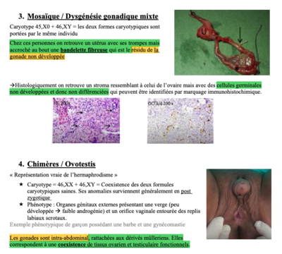 Capture d’écran 2021-04-04 à 13.34.51.png