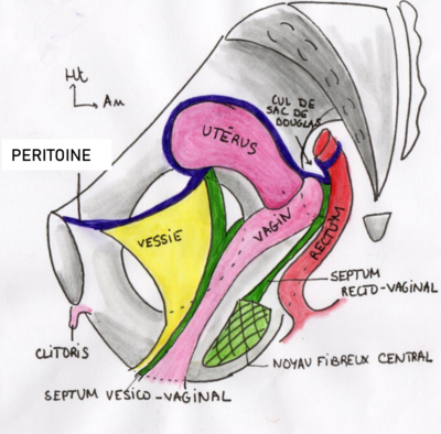 Capture d’écran 2021-04-04 à 23.42.05.png