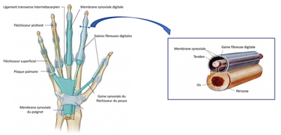 Capture d’écran 2021-04-05 à 10.35.26.png