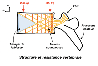 Capture d’écran 2021-02-04 à 11.32.15.png
