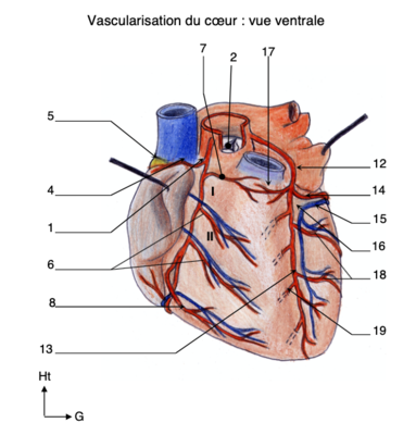 Capture d’écran 2021-04-07 à 19.06.32.png
