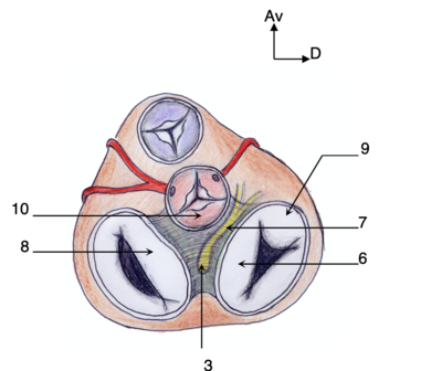 Capture d’écran 2021-04-07 à 19.20.29.png