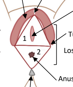 Capture d’écran 2021-04-07 à 19.37.12.png