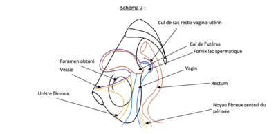 Capture d’écran 2021-04-07 à 21.25.50.png