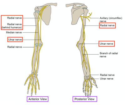 Capture d’écran 2021-03-06 à 20.55.36.png