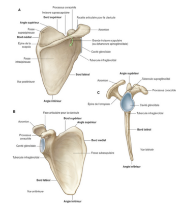 Capture d’écran 2021-03-27 à 20.21.48.png