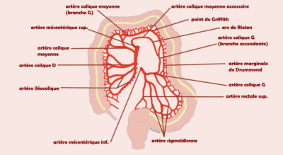 arcade de Riolan.png