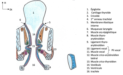 Capture d’écran 2021-04-08 à 20.43.33.png
