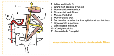 Capture d’écran 2021-04-08 à 21.04.01.png