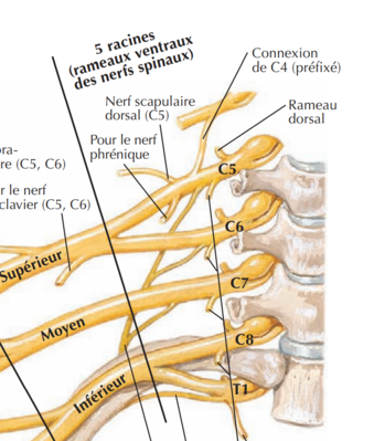 Capture d’écran 2021-04-08 235235.png