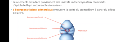 Capture d’écran 2021-04-09 à 15.48.08.png