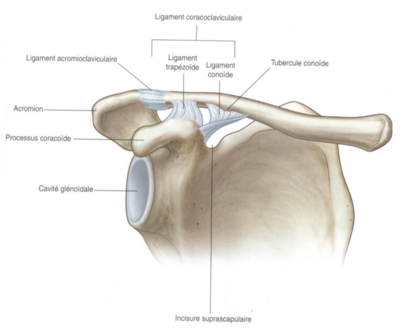 Capture d’écran 2021-04-09 à 23.04.04.png