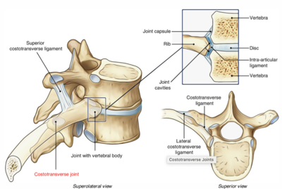 Capture d’écran 2021-04-09 à 23.26.42.png