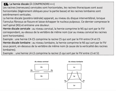 Capture d’écran 2021-04-09 à 23.33.06.png
