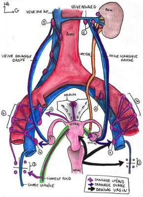 Image 10-04-2021 à 22.54.jpg