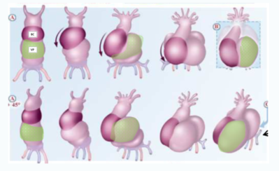 Capture d’écran 2021-04-12 à 08.42.32.png