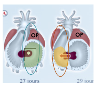 Capture d’écran 2021-04-12 à 08.42.56.png