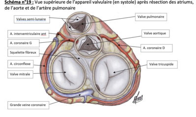 Capture d’écran 2021-04-12 à 15.08.42.png
