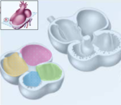 Capture d’écran 2021-04-13 à 08.17.05.png