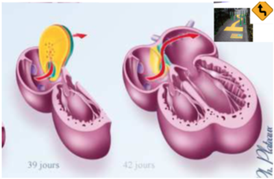 Capture d’écran 2021-04-13 à 08.23.00.png