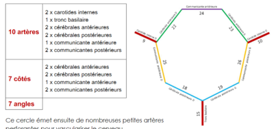 Screenshot_2021-04-13 Microsoft Word - SNC 1 0docx docx - SN Central 1 0-1 pdf.png