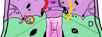 Capture d’écran 2021-04-13 212429.png