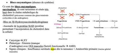 Capture d’écran 2021-04-13 à 21.54.13.png