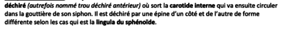 Capture d’écran 2021-04-13 à 23.10.09.png