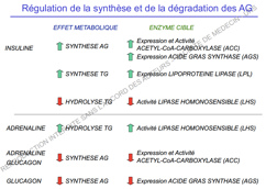 Récap régu lipidique.png