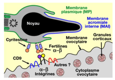 Capture d’écran 2021-04-14 à 16.15.36.png
