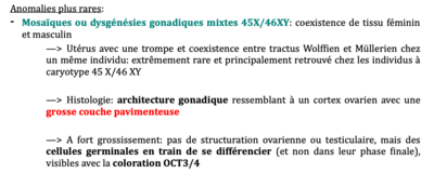Capture d’écran 2021-04-15 à 21.47.19.png