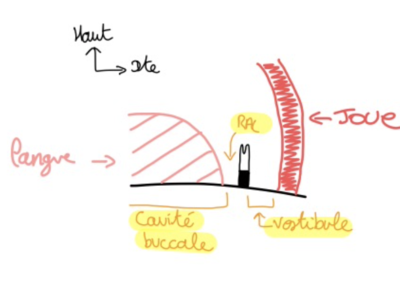 Capture d’écran 2021-04-16 à 09.16.20.png