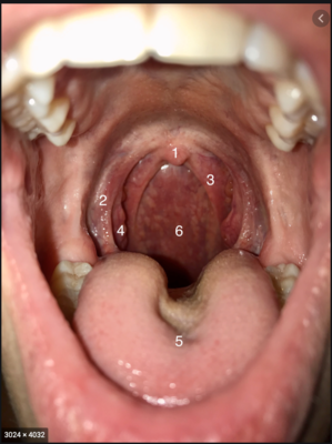 Capture d’écran 2021-04-16 à 09.18.15.png